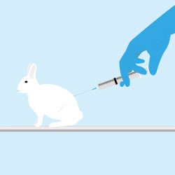 신약 개발 임상 동물 사용 감소 전망...‘FDA 솔선’[클릭, 글로벌 제약·바이오]