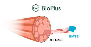 바이오플러스 "국내 최초 재조합 타입 Ⅲ 콜라겐 개발 성공"