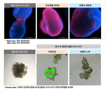 오가노이드사이언스, 국내 최초 ‘NAMs 인증 시험기관’ 선정