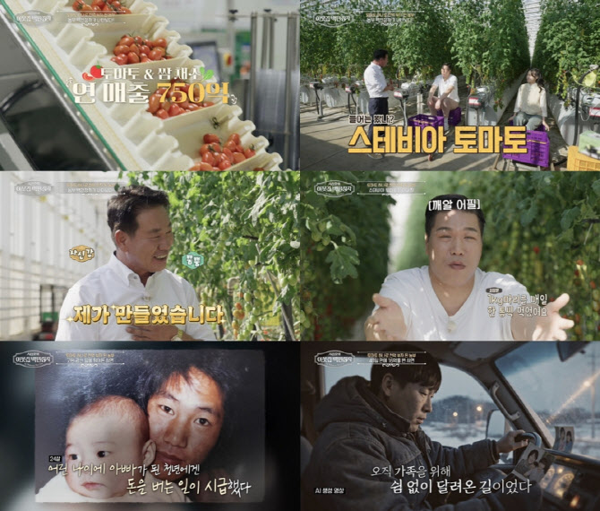 대표 이미지