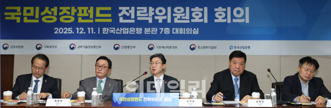 국민성장펀드 전략위원회 회의                                                                                                                                                                      