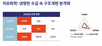 [마켓인]석유화학 내년에도 적자 예상…“불황의 연속”