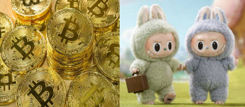 “비트코인, 가치 없는 디지털 라부부”…뱅가드 경고