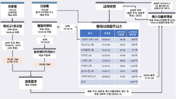 MBK·영풍, 고려아연 회장 배임 의혹 제기…검찰 고발 예고