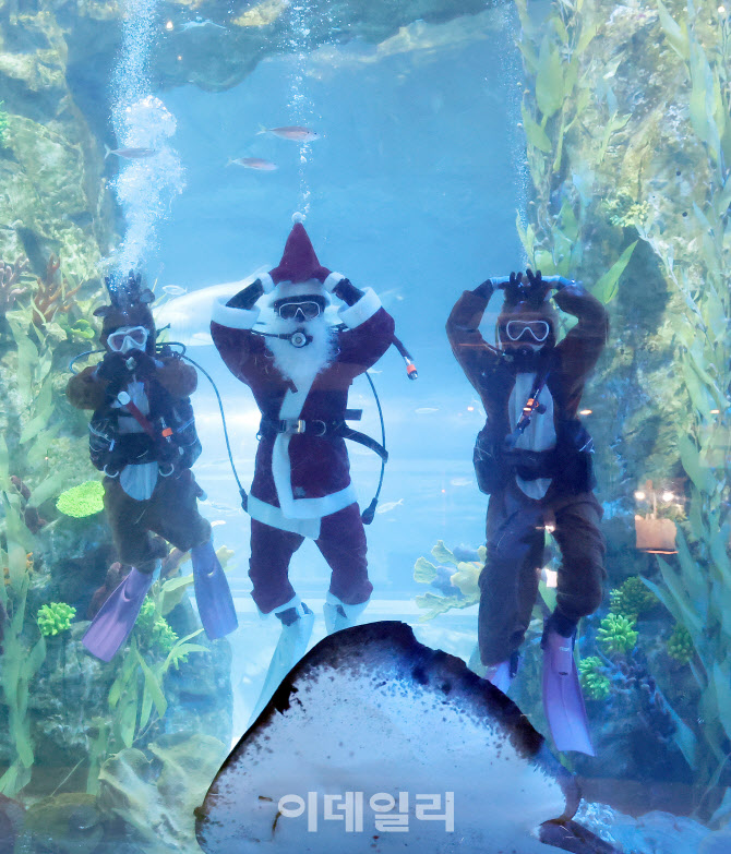 아쿠아리움에 등장한 루돌프와 산타                                                                                                                                                                 