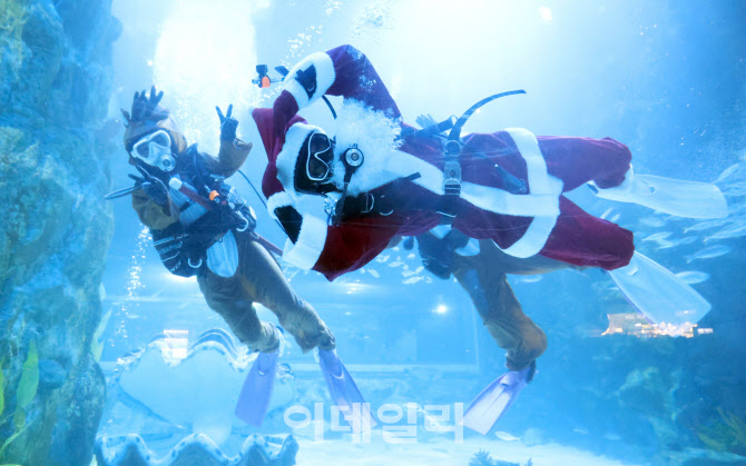 다이빙하는 산타와 루돌프                                                                                                                                                                          
