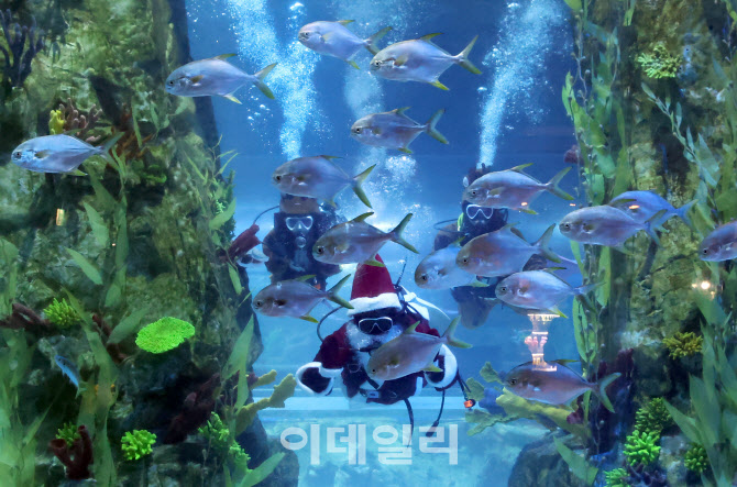 아쿠아리움에 나타난 루돌프와 산타                                                                                                                                                                 