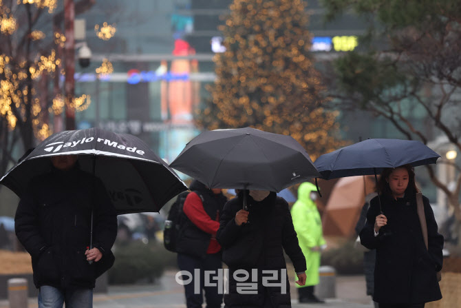 크리스마스 앞두고 겨울비                                                                                                                                                                          