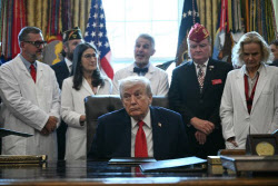 대마초주 '폭락'…규제 완화에 급등하더니 지옥행, 왜?