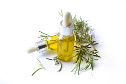 美 정부, 대마초 규제 완화...산업 부흥 기대[클릭, 글로벌 제약·바이오]