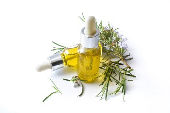 美 정부, 대마초 규제 완화...산업 부흥 기대[클릭, 글로벌 제약·바이오]