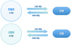 환헤지 둘러싼 딜레마…해외 투자 큰손들 “안 하면 위험, 하면 비용”