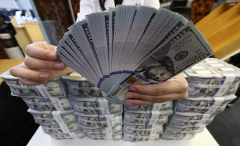 [속보]외환당국 구두개입…"원화 과도한 약세, 바람직하지 않아"