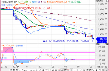 원·달러 환율, 한달 반만에 1450원 하회…“연말 종가 주시”