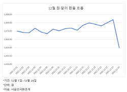 환율, 연말까지는 정부 '약발'…연초까지 이어질까