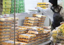 '에그플레이션' 난리났는데…10배 강한 조류독감 온다