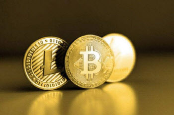 “아직 항복 아냐”…사상최고 금값에 비트코인 버티기 돌입