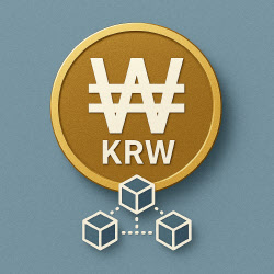 원화 스테이블코인 도입 근거 정부안 도출 내년으로 지연