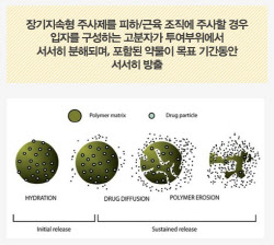 장기지속형 대세론에 제동, 비만치료제 주 1회·경구 지배 전망…업계 시각은