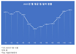 환율 급락에도 웃지 못한 12월…월평균 ‘올해 최고’