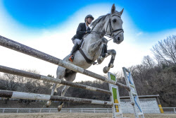[포토]힘찬 도약하는 26년 병오년이 되길                                                                                                                                                                  