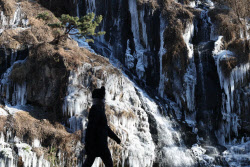 [포토]새해 첫날부터 '꽁꽁'                                                                                                                                                                    