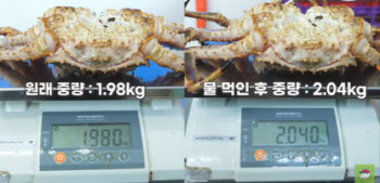 “너 벼르고 있다” 킹크랩 ‘저울치기’ 폭로 유튜버가 들은 말