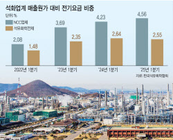 '석화 숙원' 전기료 감면 사실상 무산…울산 산업위기 지정도 불발