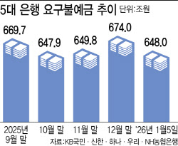 증시 호황에…5대 은행 대기자금 6일 만에 27.5조 '썰물'