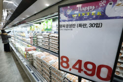 정부, 달걀 200만개 긴급 수입하고 고등어 2000t 푼다