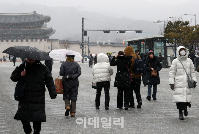  간만에 맞이한 눈                                                                                                                                                                                 