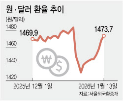 다시 1500원 바라보는 환율에…'달러 빼돌리는 기업' 집중 단속