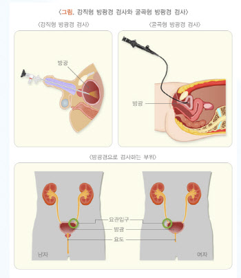 연재이미지