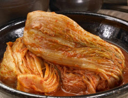 주요뉴스