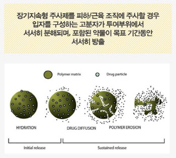 장기지속형 대세론에 제동, 비만치료제 주 1회·경구 지배 전망…업계 시각은