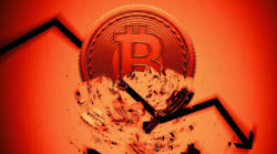 "비트코인 본격 회복?…약세장 속 일시 반등에 불과"