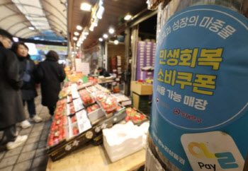 "1인당 최대 60만원" 민생지원금 또 푼다…난 얼마받나?