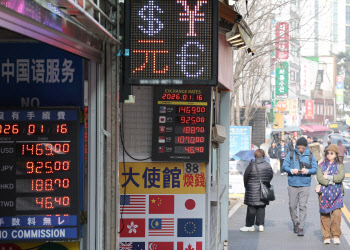 IMF "韓 환리스크 달러자산, 외환시장의 25배"