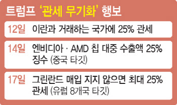 이란도 그린란드 지지국도 십자포화…트럼프, 민감 사안마다 관세 폭탄 휘둘러