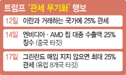 이란도 그린란드 지지국도 십자포화…트럼프, 민감 사안마다 관세 폭탄 휘둘러