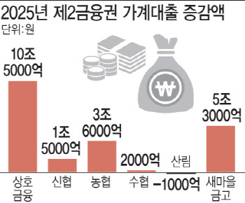 '관리 사각지대' 새마을금고, 작년 가계대출 '나홀로 급증'
