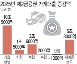 '관리 사각지대' 새마을금고, 작년 가계대출 '나홀로 급증'