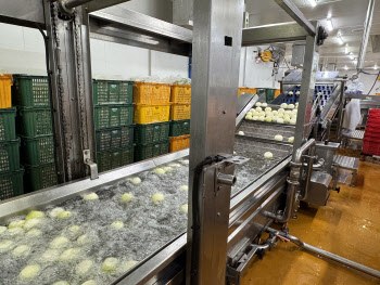 “호텔 뷔페급인데?”…1만원대 유지하는 K-뷔페 비결은[르포]