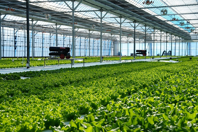 SB성보, 마그나인베스트먼트 농식품 펀드 참여... 농업 밸류체인 투자 강... - 뉴스 썸네일 이미지