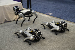 1억짜리 로봇개, 中은 400만원에 팔아…AI두뇌 선도해야 이길 수 있어