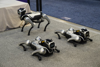 1억짜리 로봇개, 中은 400만원에 팔아…'SW' 선도해야 이길 수 있어