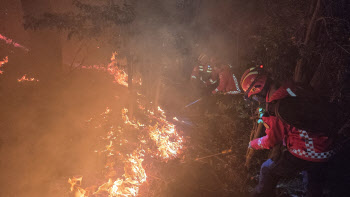 부산·전남 광양 등 전국서 이틀째 이어진 산불로 피해 눈덩이