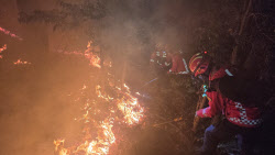 부산·전남 광양 등 전국서 이틀째 이어진 산불로 피해 눈덩이