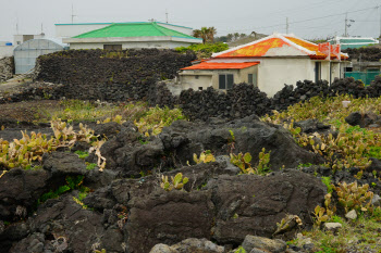 공급과잉에 수요 급감 '이중고'…제주 숙박업에 무슨 일이