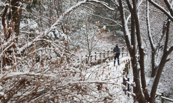 "갑자기 폭설이"…서울·인천 등 대설특보, 밤새 6㎝ 예보